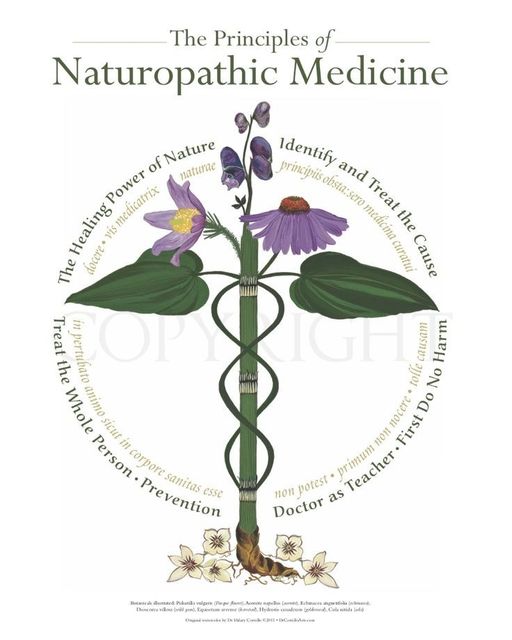 NATUROPATHIC PHYSICIAN