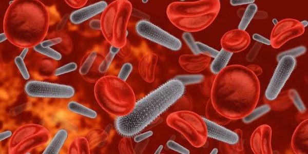 WhatsApp Image 2025-05-09 at 2.45.03 PM (2) WhatsApp Image 2025-05-09 at 2.45.03 PM (2)