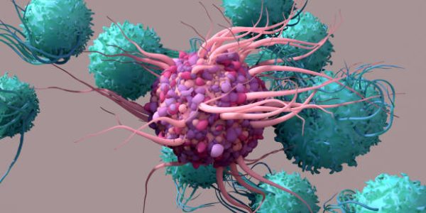 cancer Dentritic Cell activate T cells, trigger immune responses, they are responsible of cells protection of the body.